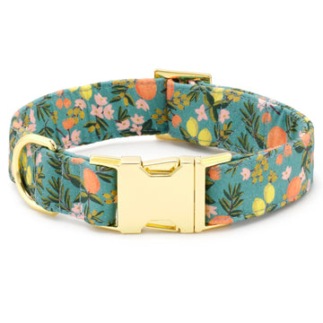 Adjustable Dog Collars, Stylish Pet Accessories