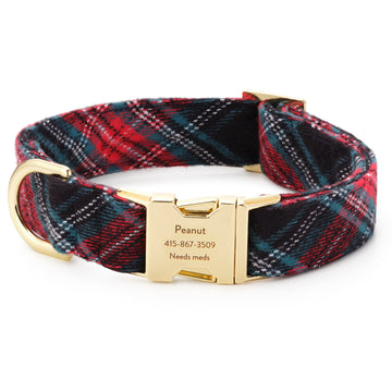 cute dog collar