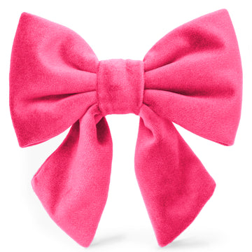 Black Velvet Lady Bow Collar – The Foggy Dog