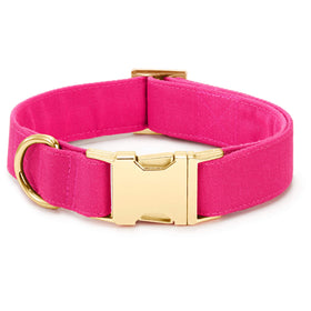 Hot Pink Dog Collar – The Foggy Dog