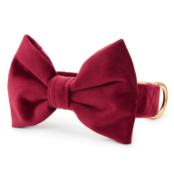 https://cdn.shopify.com/s/files/1/1392/6117/products/burgundy-velvet-bow-tie-collar-from-the-foggy-dog-xs-standard-423175_360x.jpg?v=1631315027