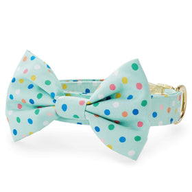 Sprinkles Lady Bow Collar – The Foggy Dog