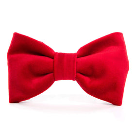 Burgundy Velvet Lady Bow Collar – The Foggy Dog