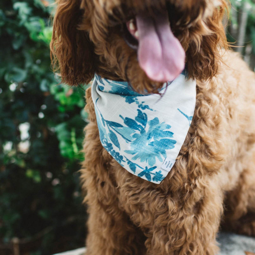 newfoundland dog bandana