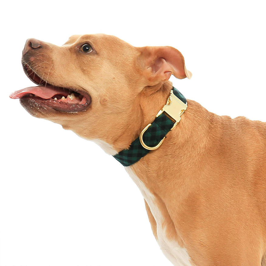flannel dog collar