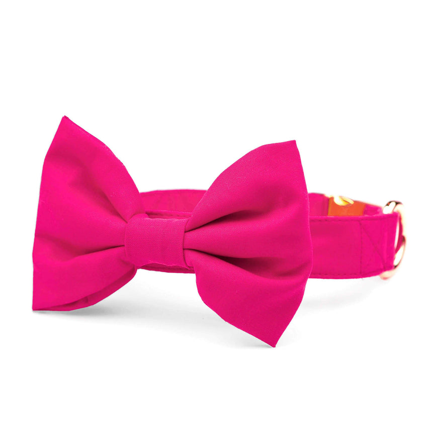 pink bow tie dog collar