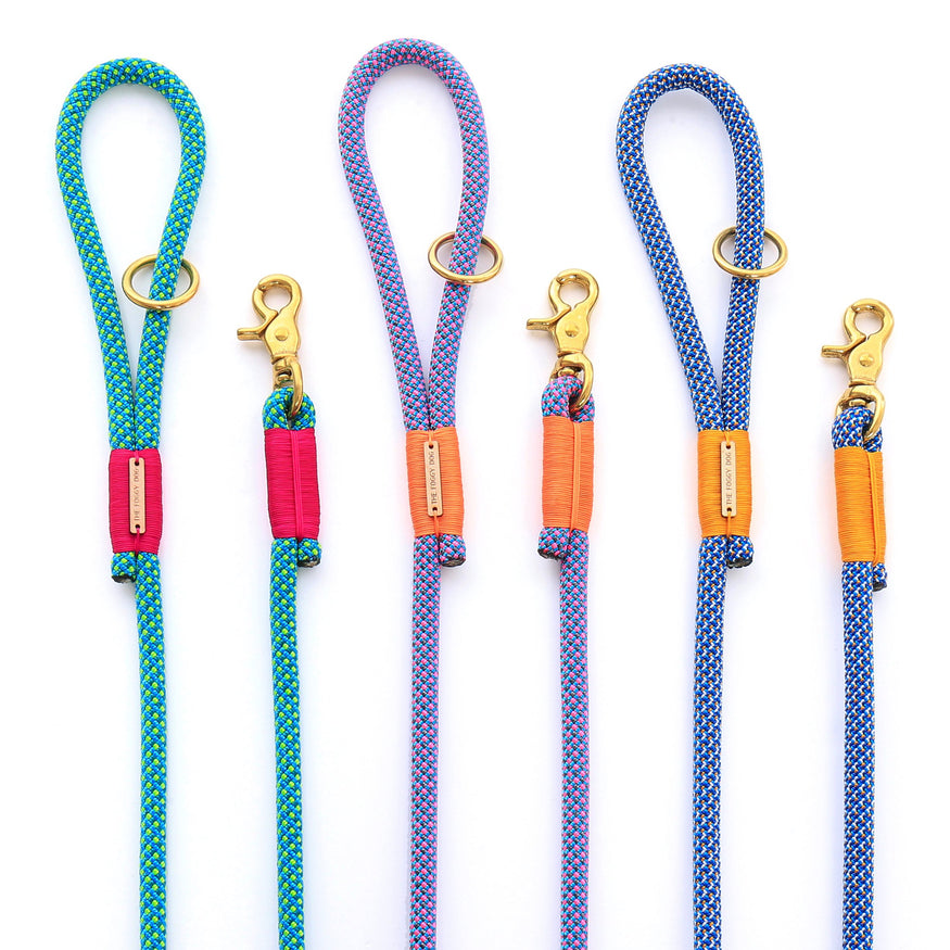 climbing dog leash