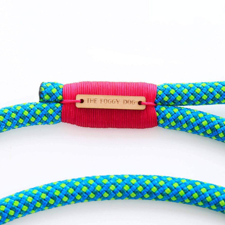 recycled climbing rope dog collar