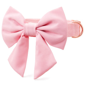 Sprinkles Lady Bow Collar – The Foggy Dog