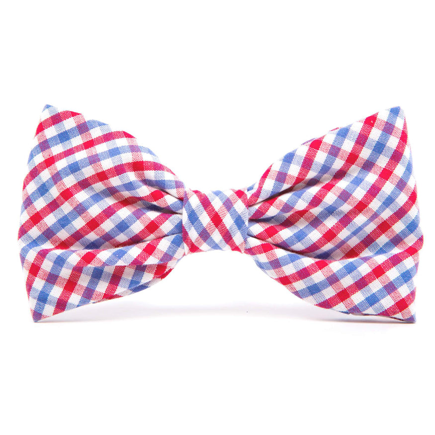 red white and blue bow tie dog collar