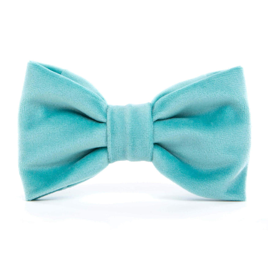 teal dog bow tie