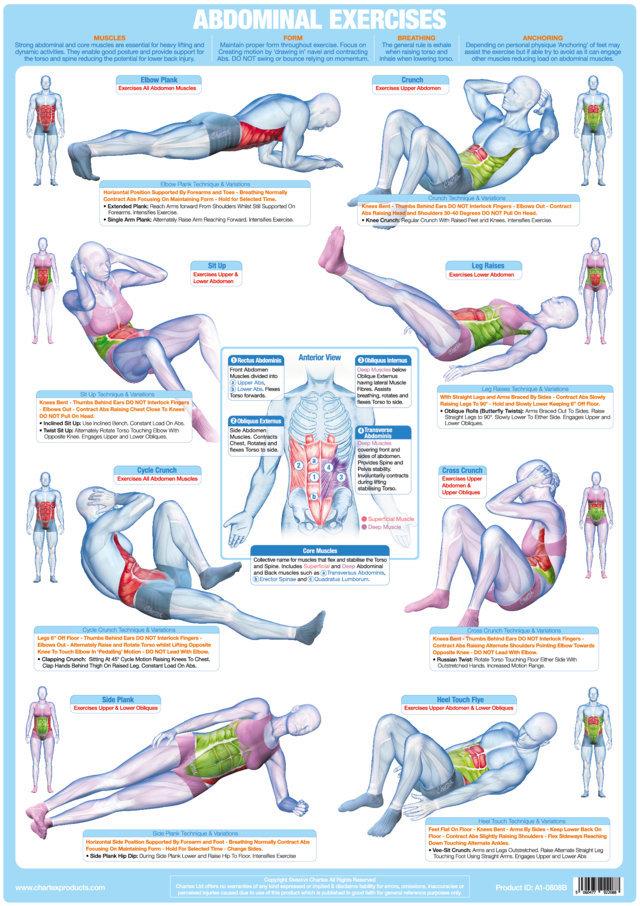 Chartex - Abdominal Exercises Posters and Charts