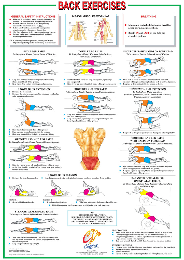 Back Muscles Floor Exercise Chart - Chartex Ltd