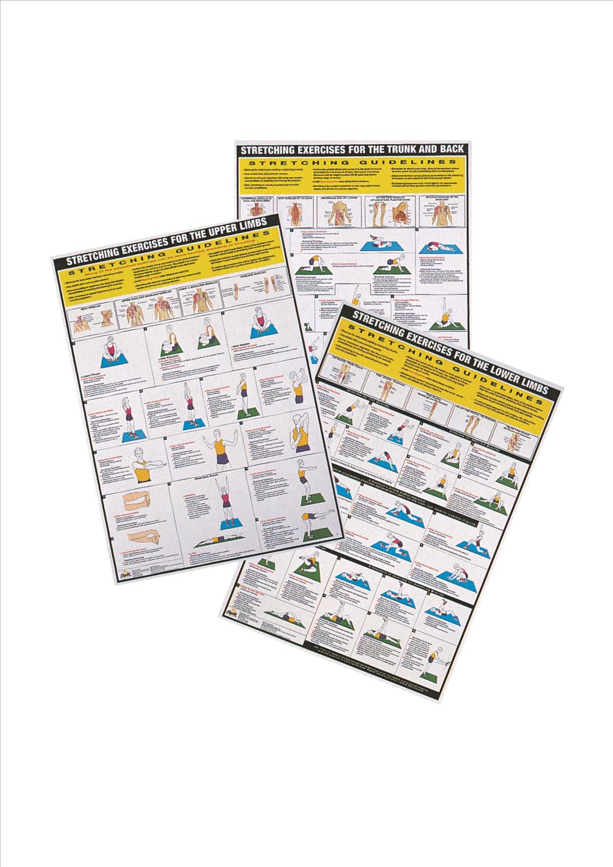 Stretching Exercise Charts - Set of 3 – Chartex Ltd