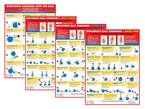 Swiss Ball Exercise Charts - Set of 4 – Chartex Ltd