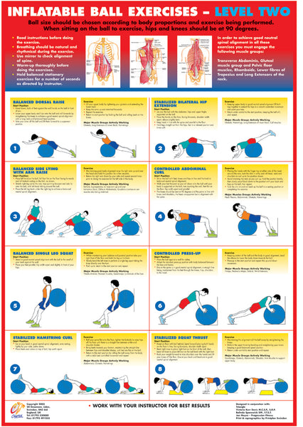 Swiss Ball Exercise Charts - Set of 4 – Chartex Ltd