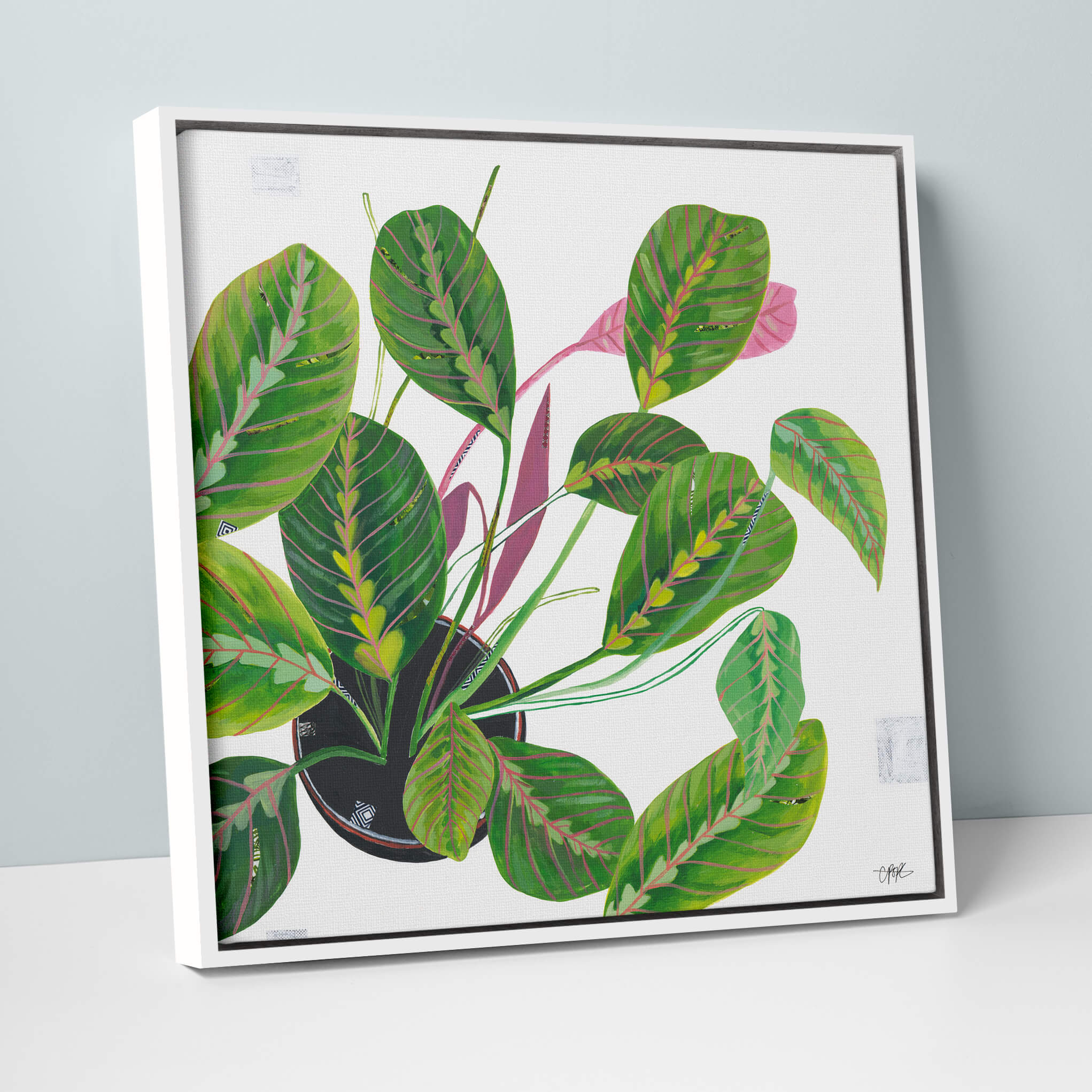 Prayer Plant Framed Canvas