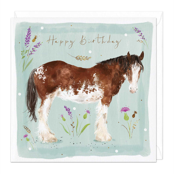 clydesdale horse birthday card