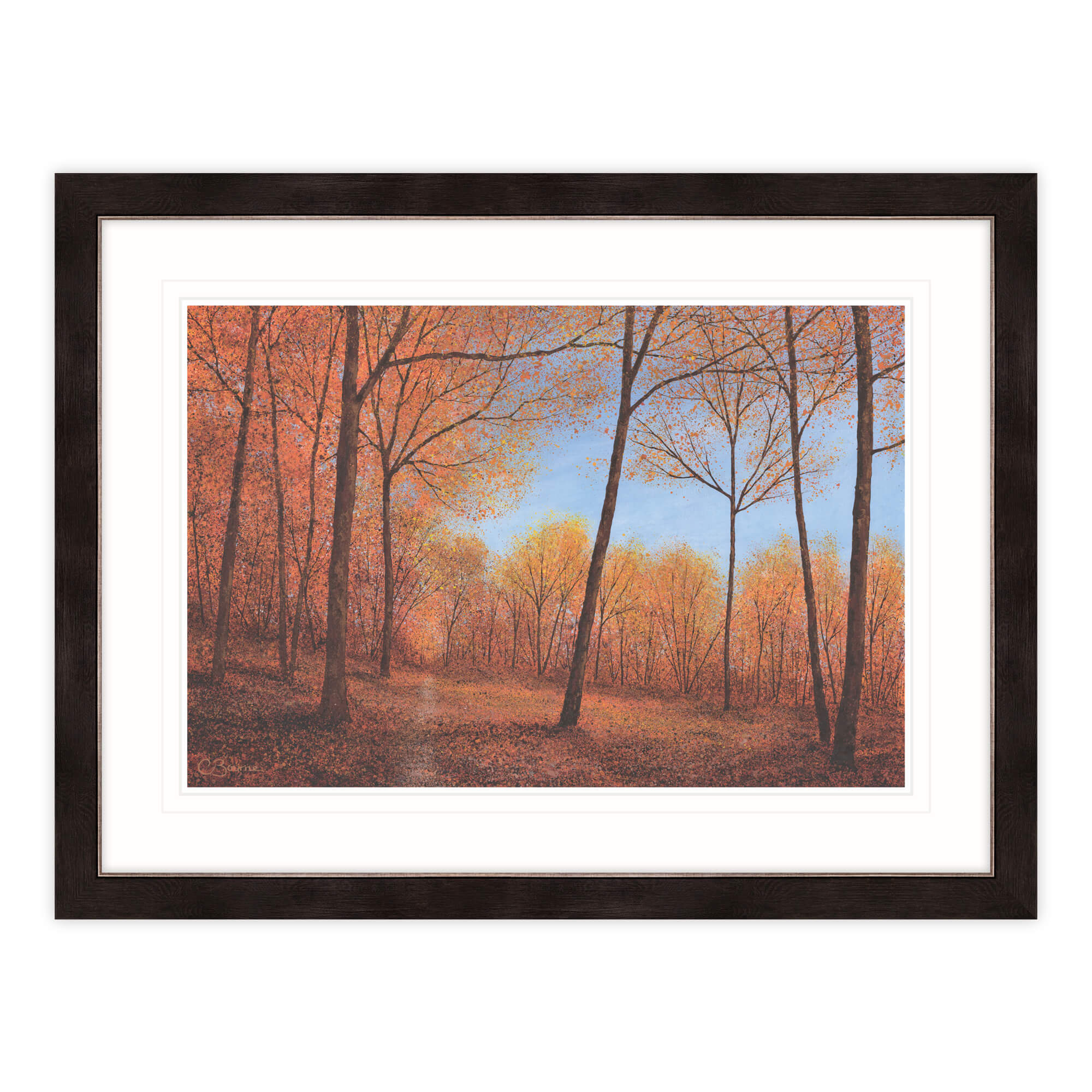 Autumn Splendour Framed Print