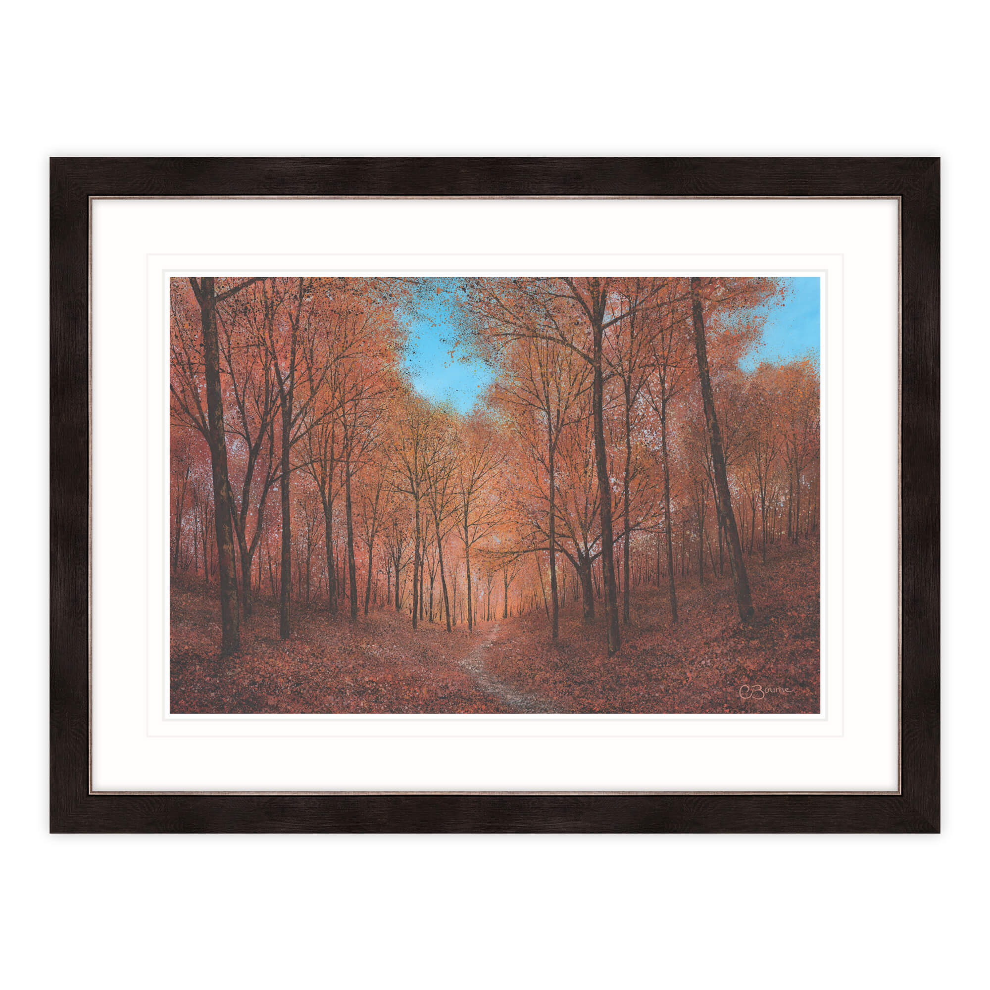 Path Into The Light Framed Print