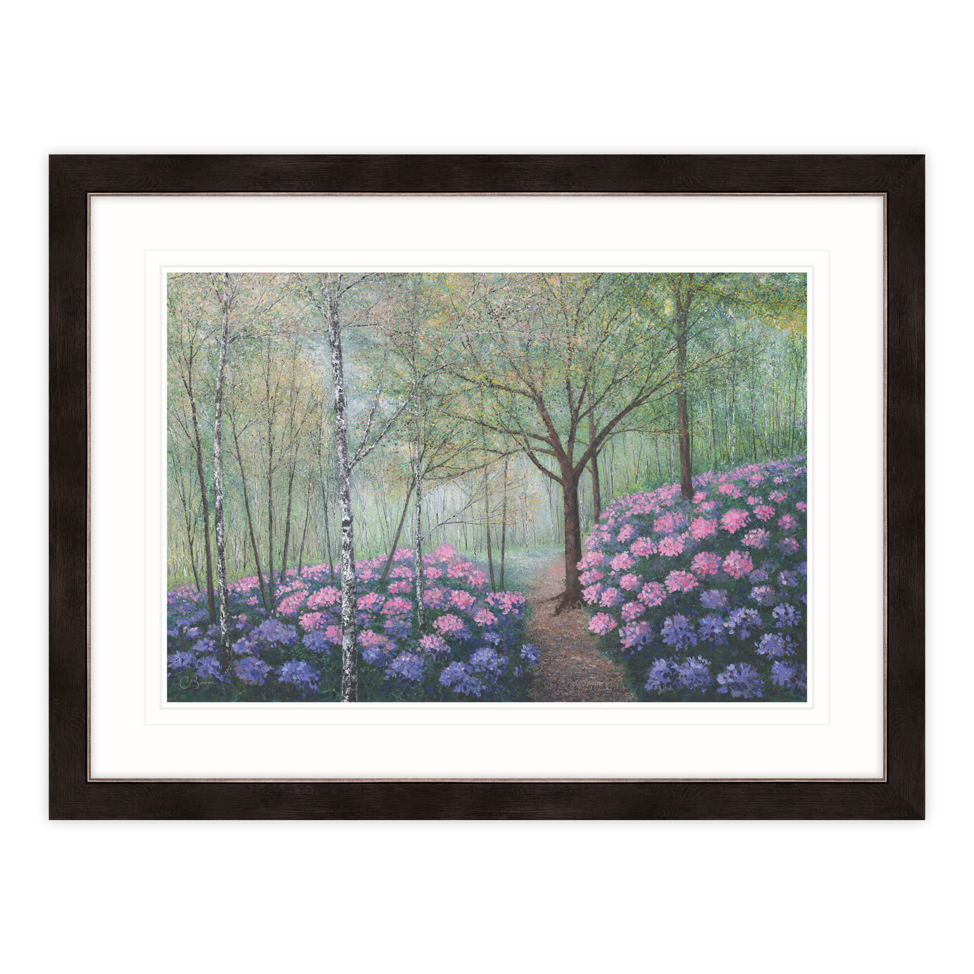 A Feast Of Colour Framed Print