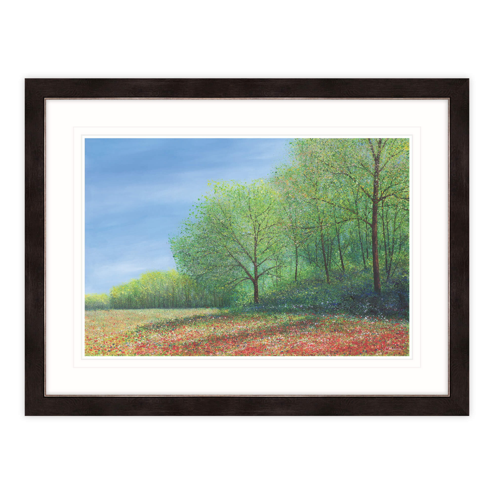 Summers Here Framed Print
