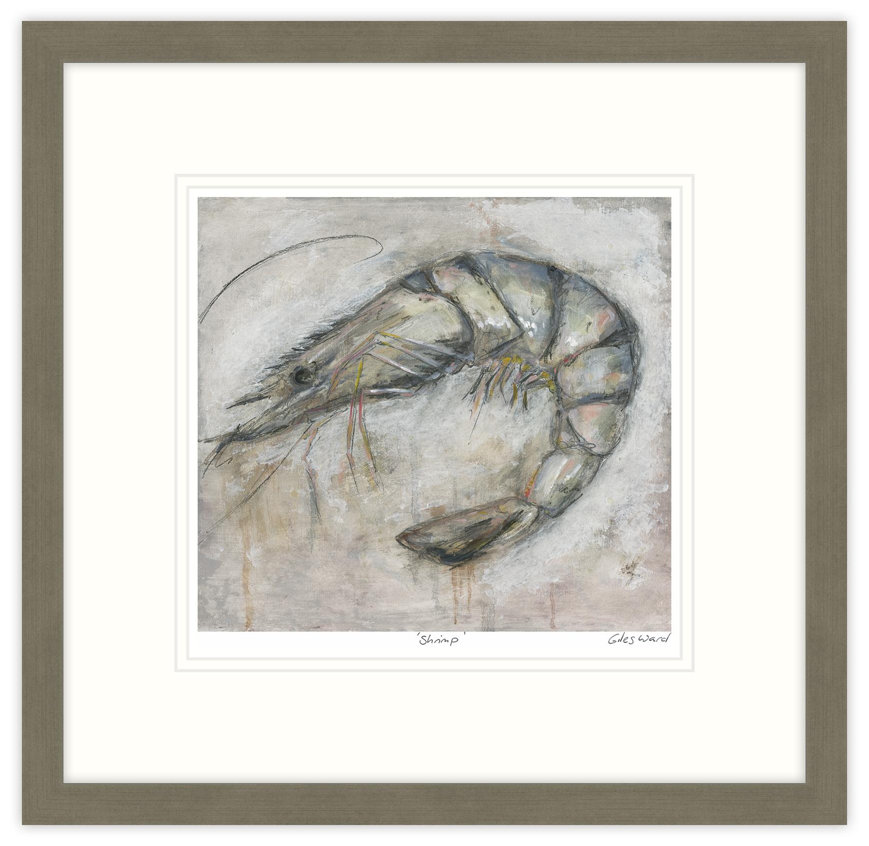 Shrimp Framed Print