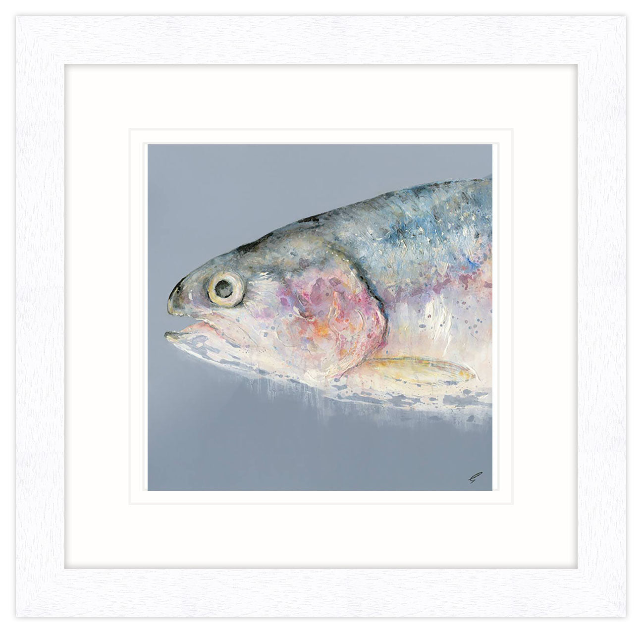 Rainbow Trout Large Framed Print