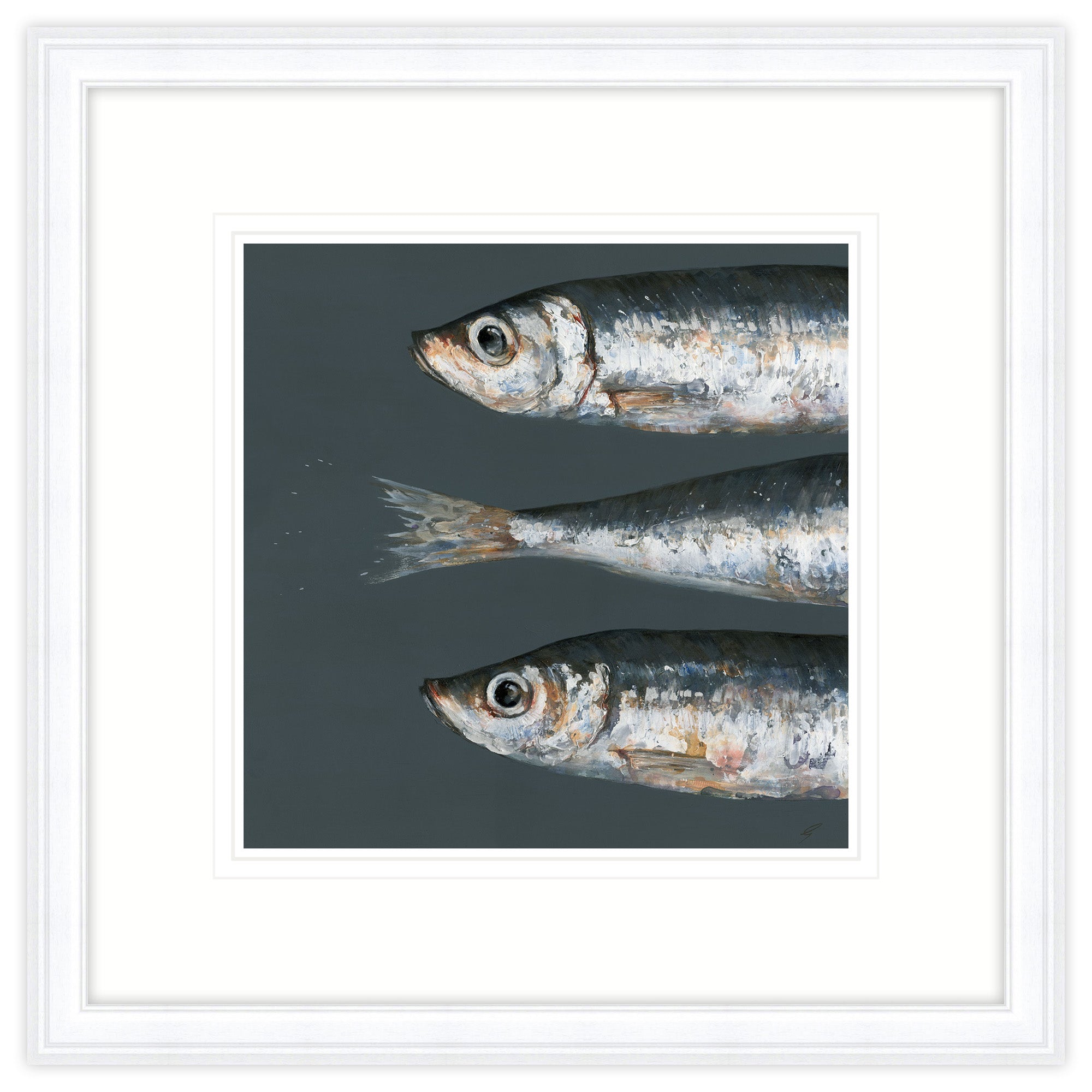 Three Sprats Framed Print