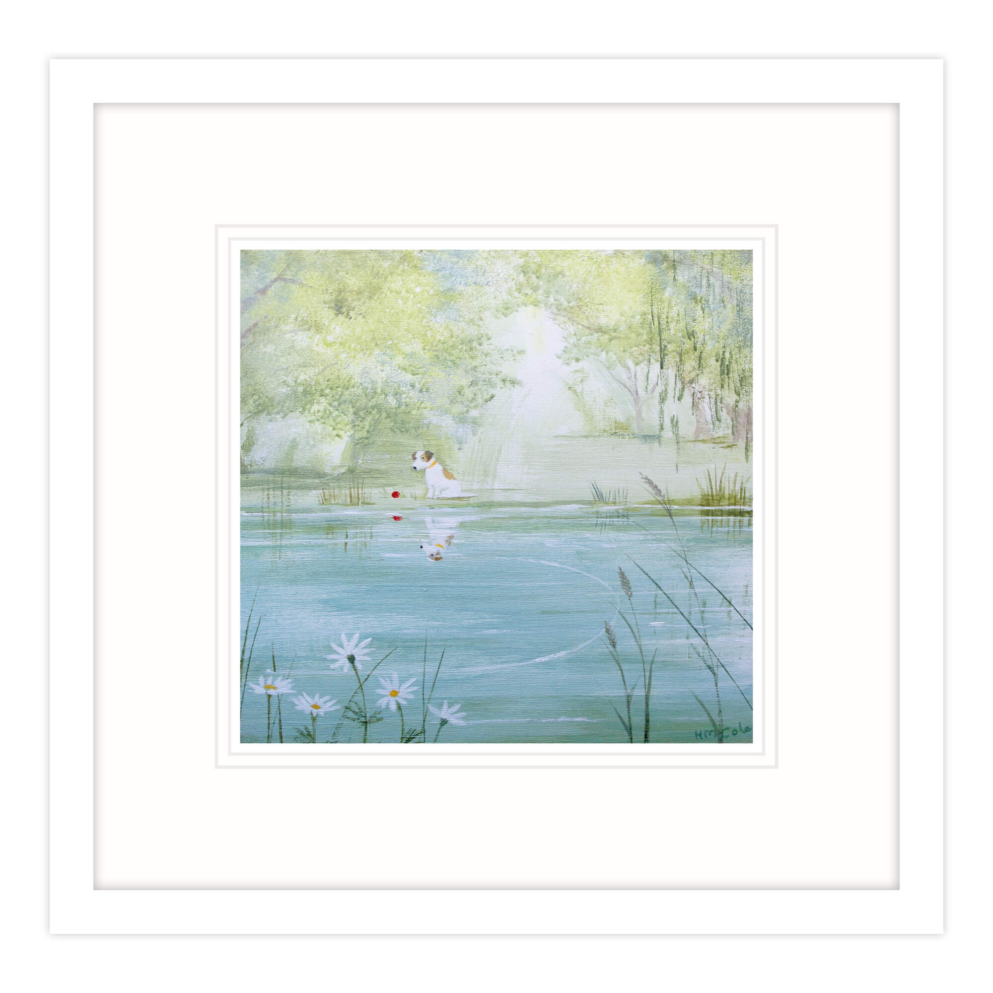 Pond Reflection Framed Print