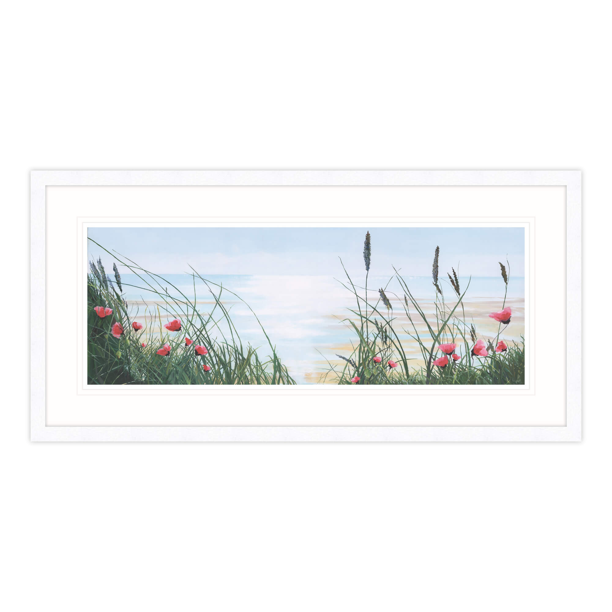 Wild Poppies Framed Print