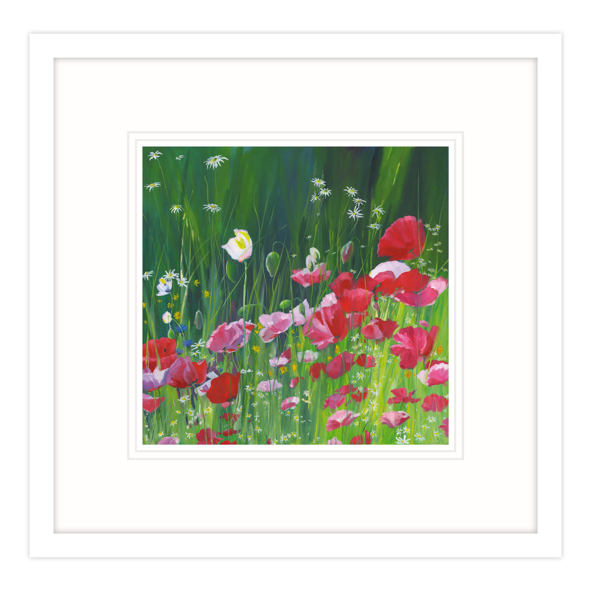 Poppy Field Framed Print