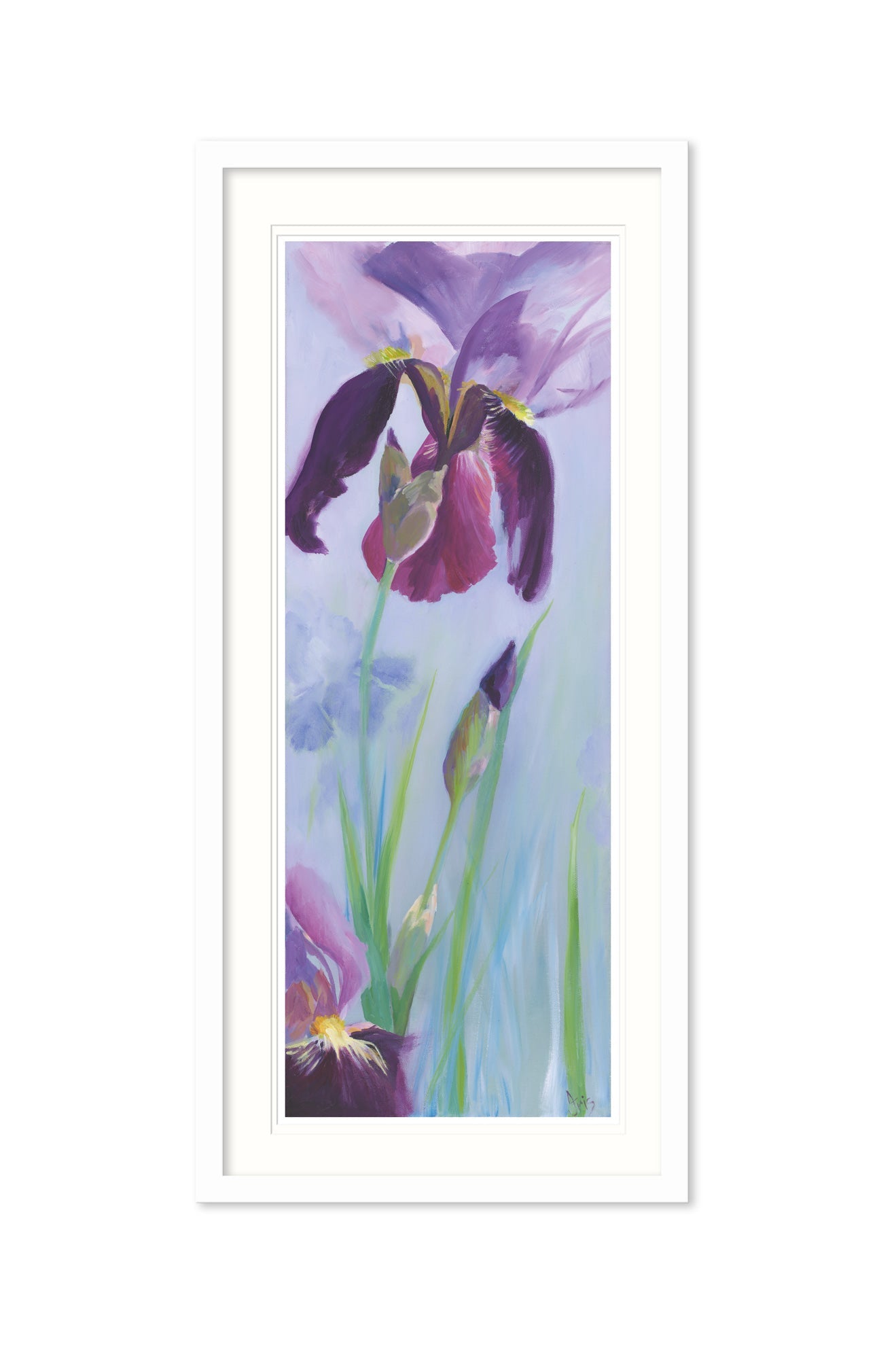 Iris Flower Large Framed Print