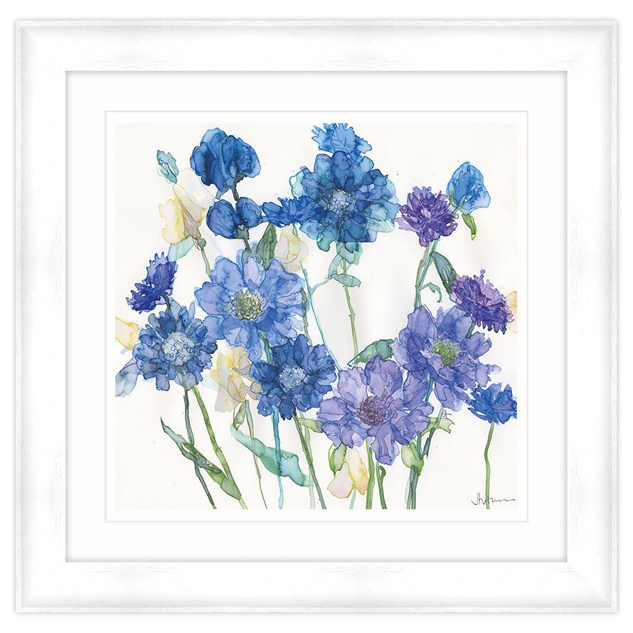 Cornflowers & Mixed Scabious Framed Print