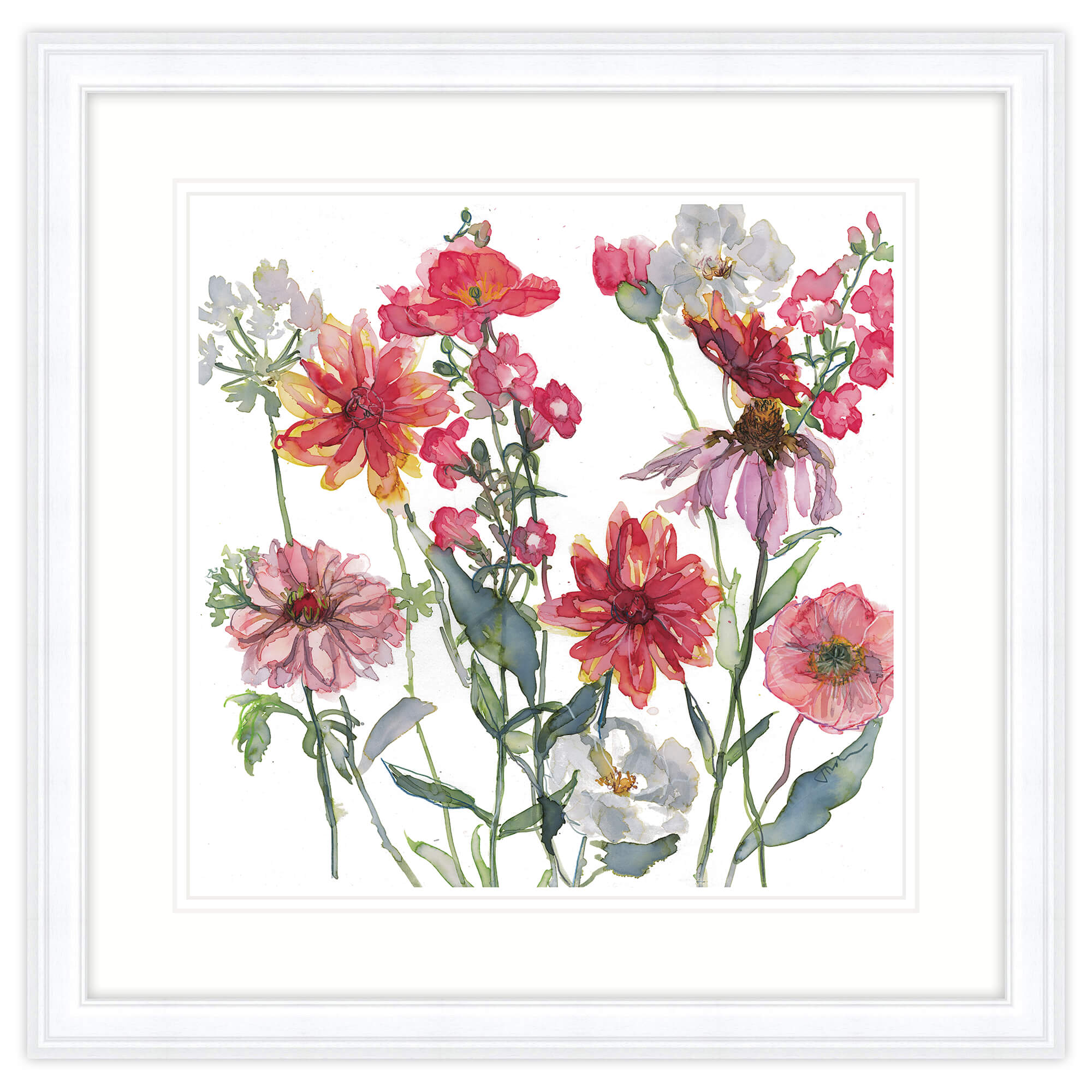 Poppies Framed Print