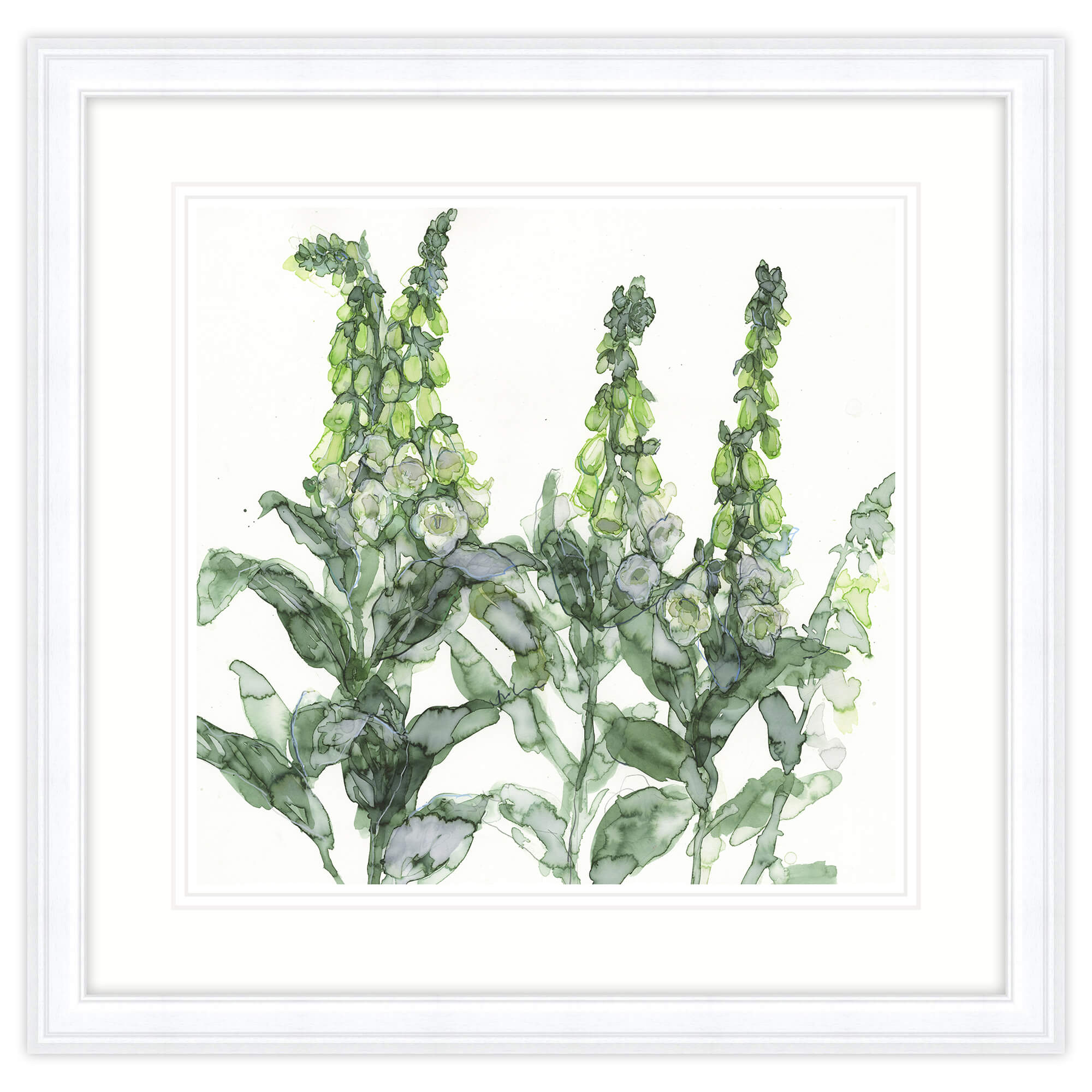 White Foxgloves Framed Print