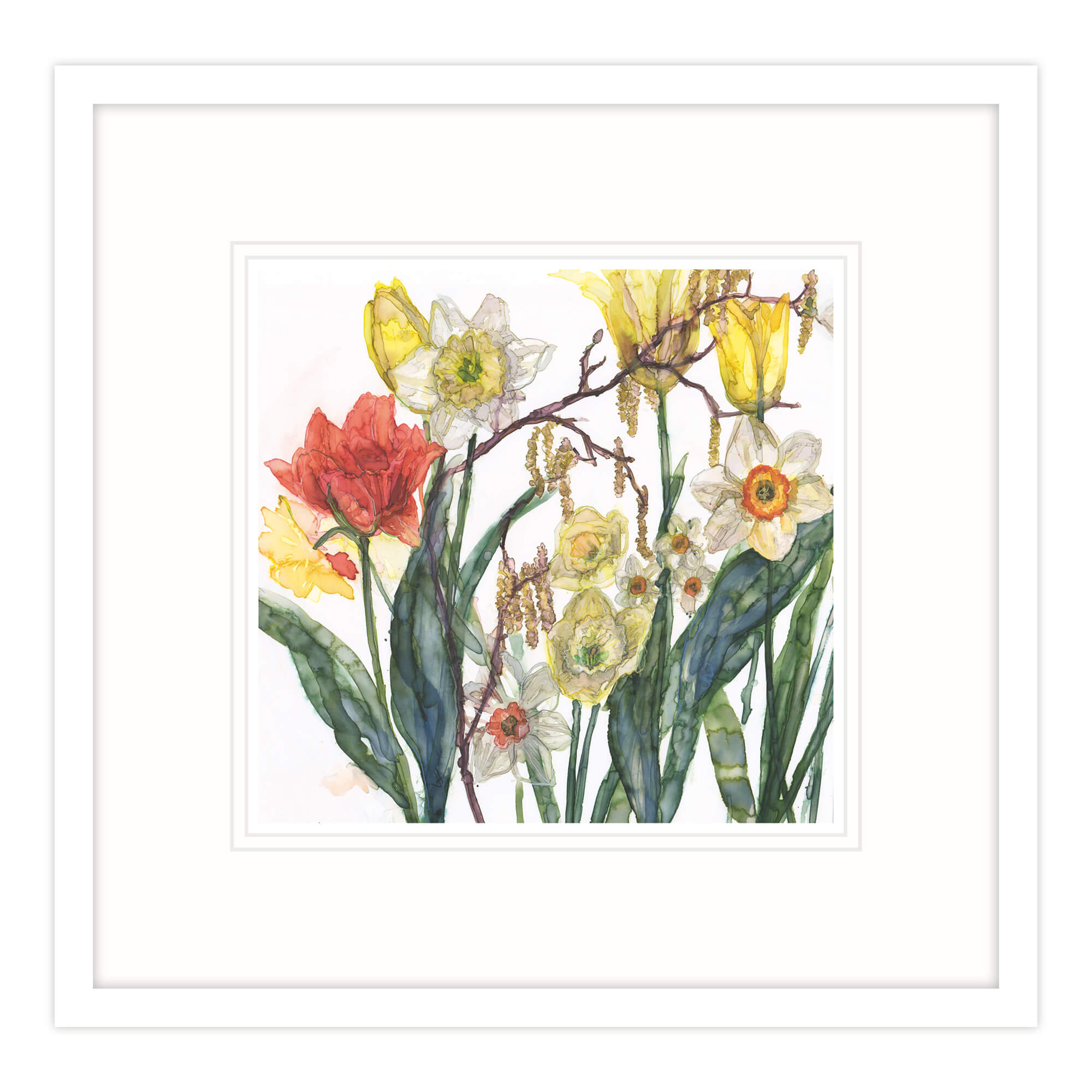 Daffodils And Catkins Framed Print