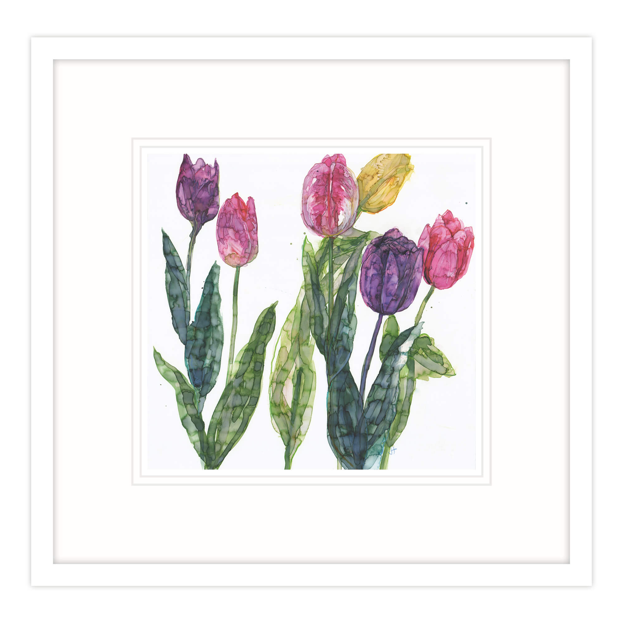 Mixed Tulips Framed Print