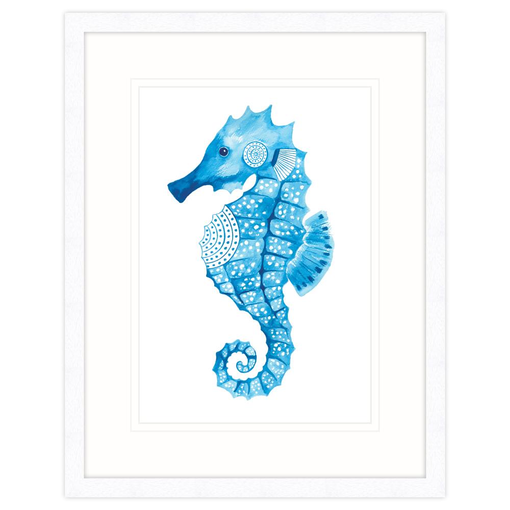 Seahorse Framed Print