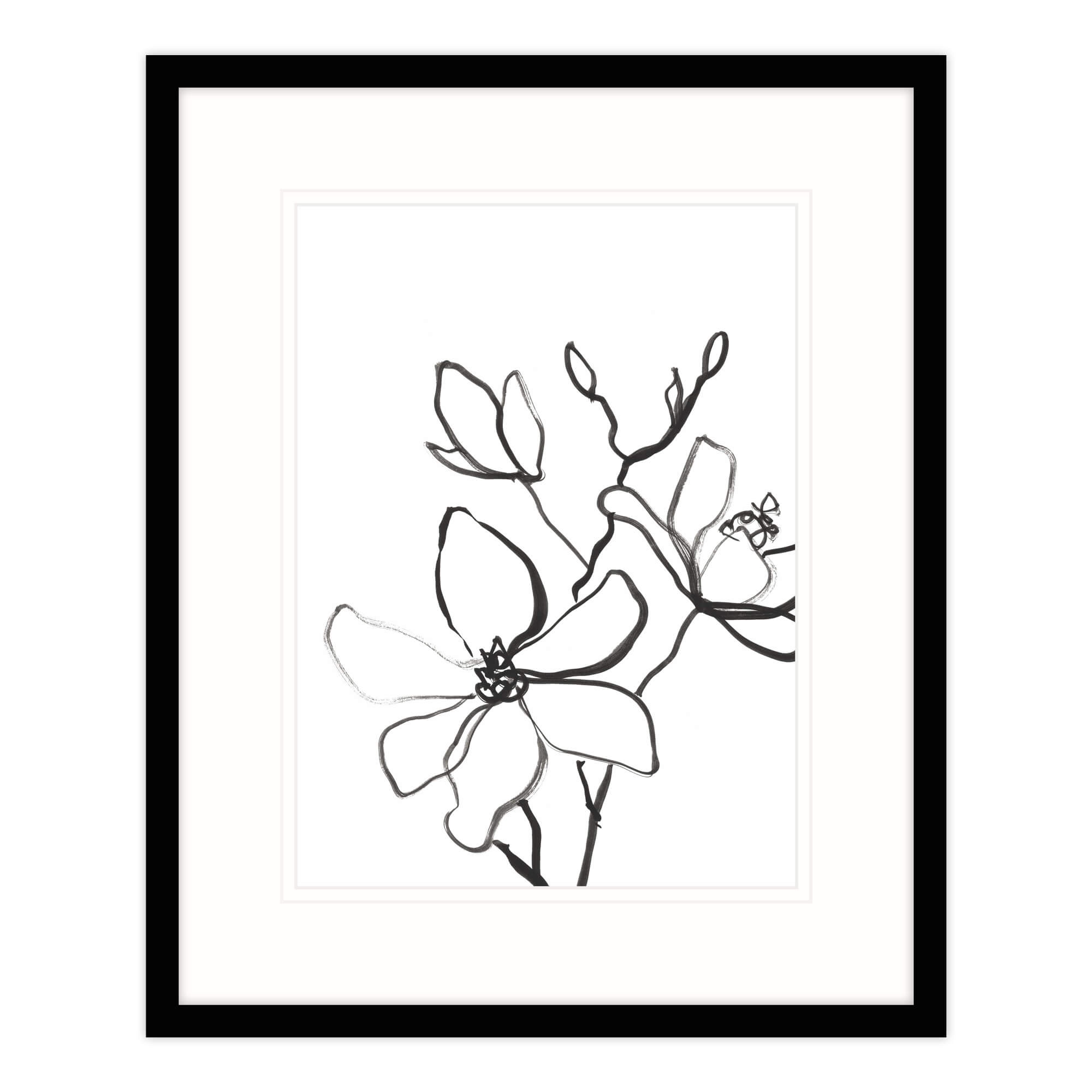 Magnolia Framed Print