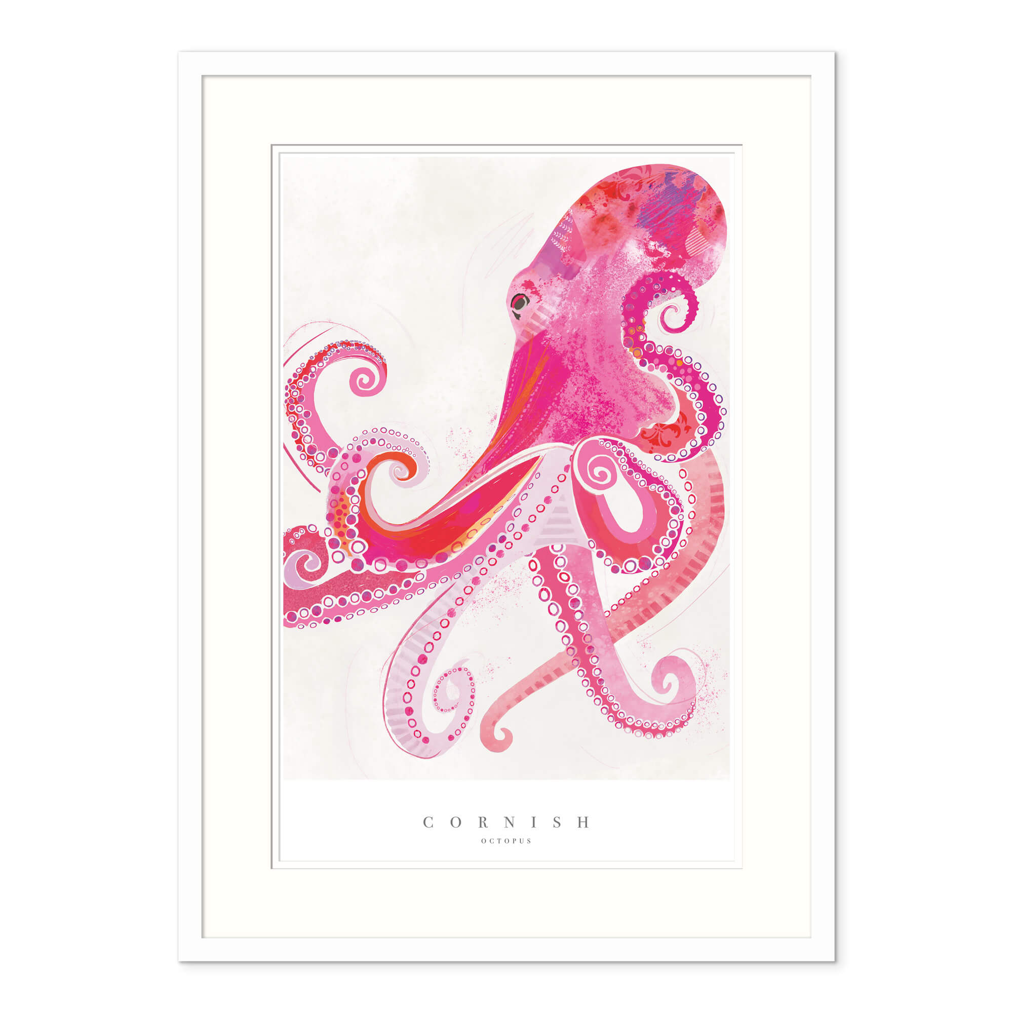 Cornish Octopus Large Framed Print