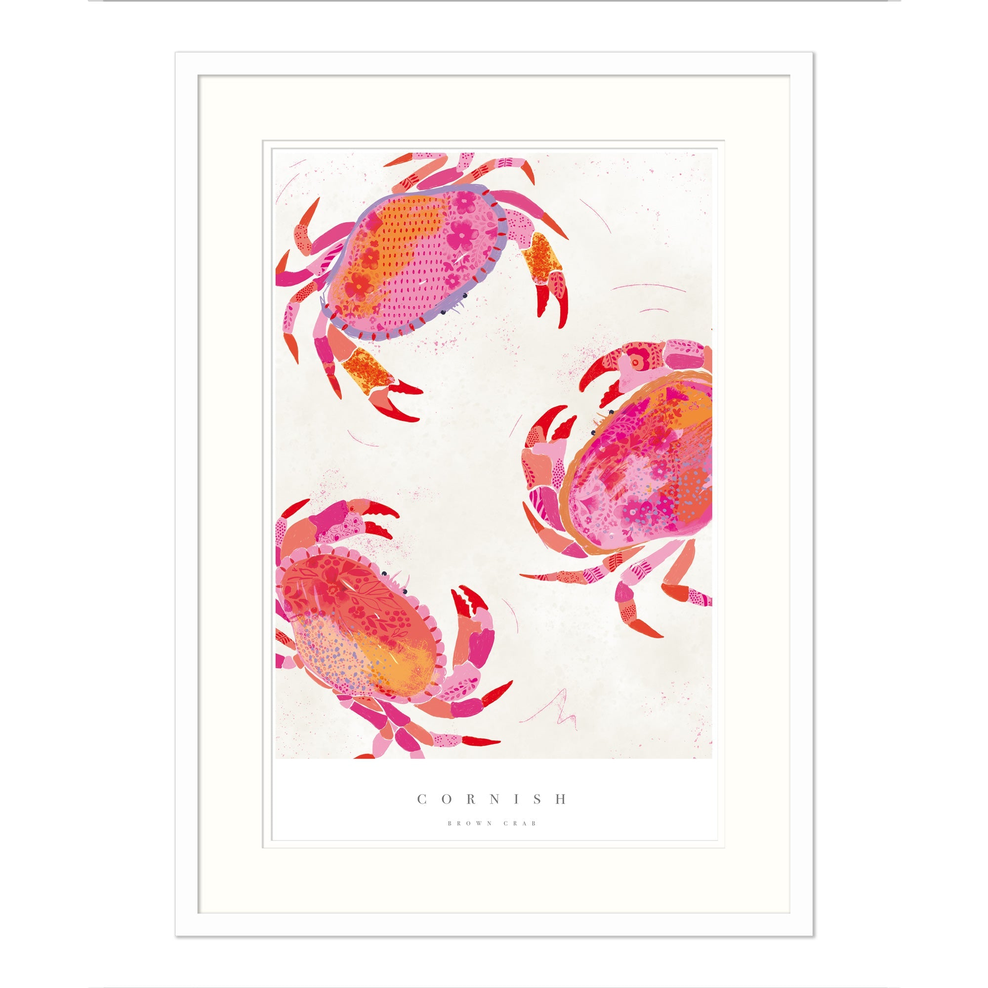 Cornish Crabs Poster Framed Print