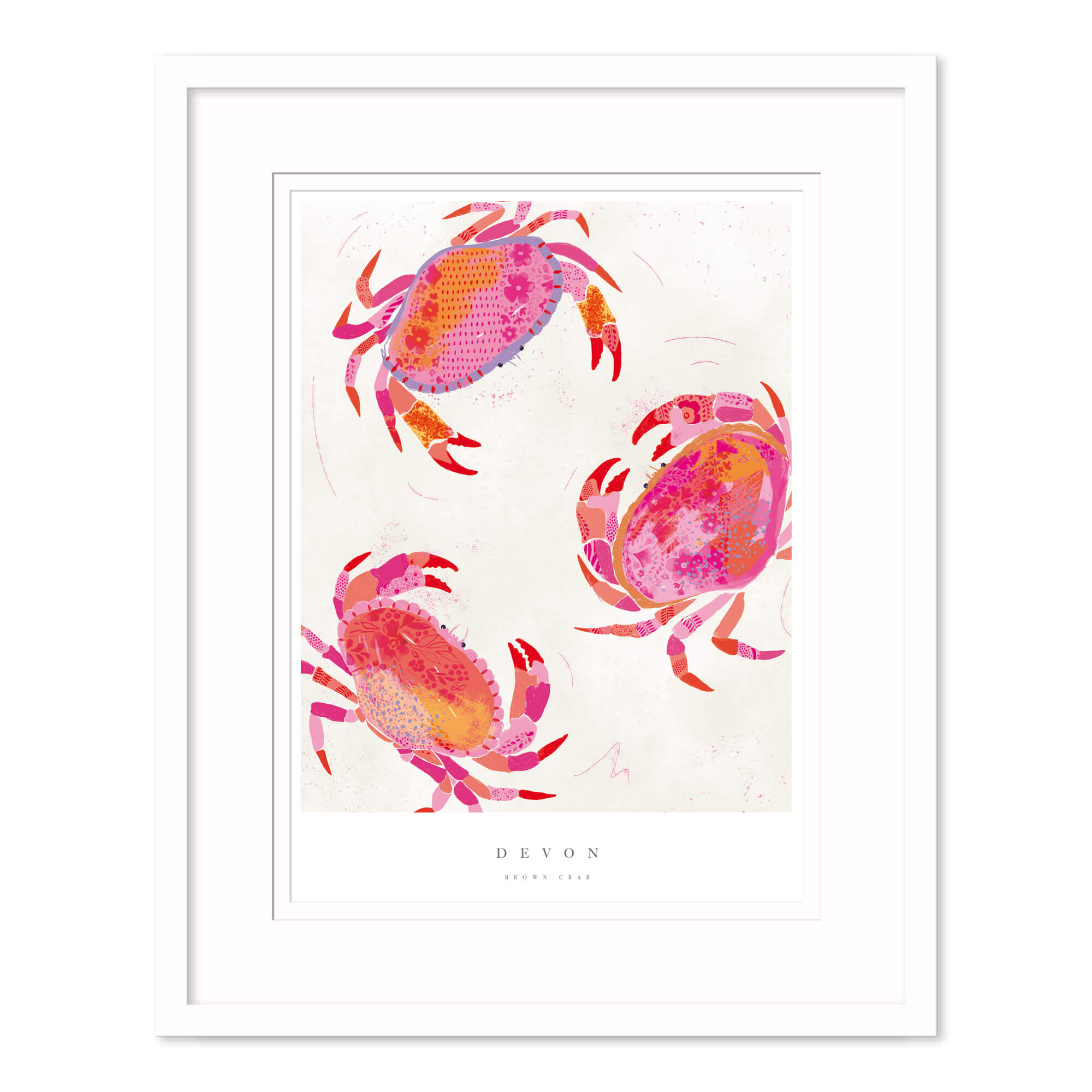 Devon Crabs Framed Print