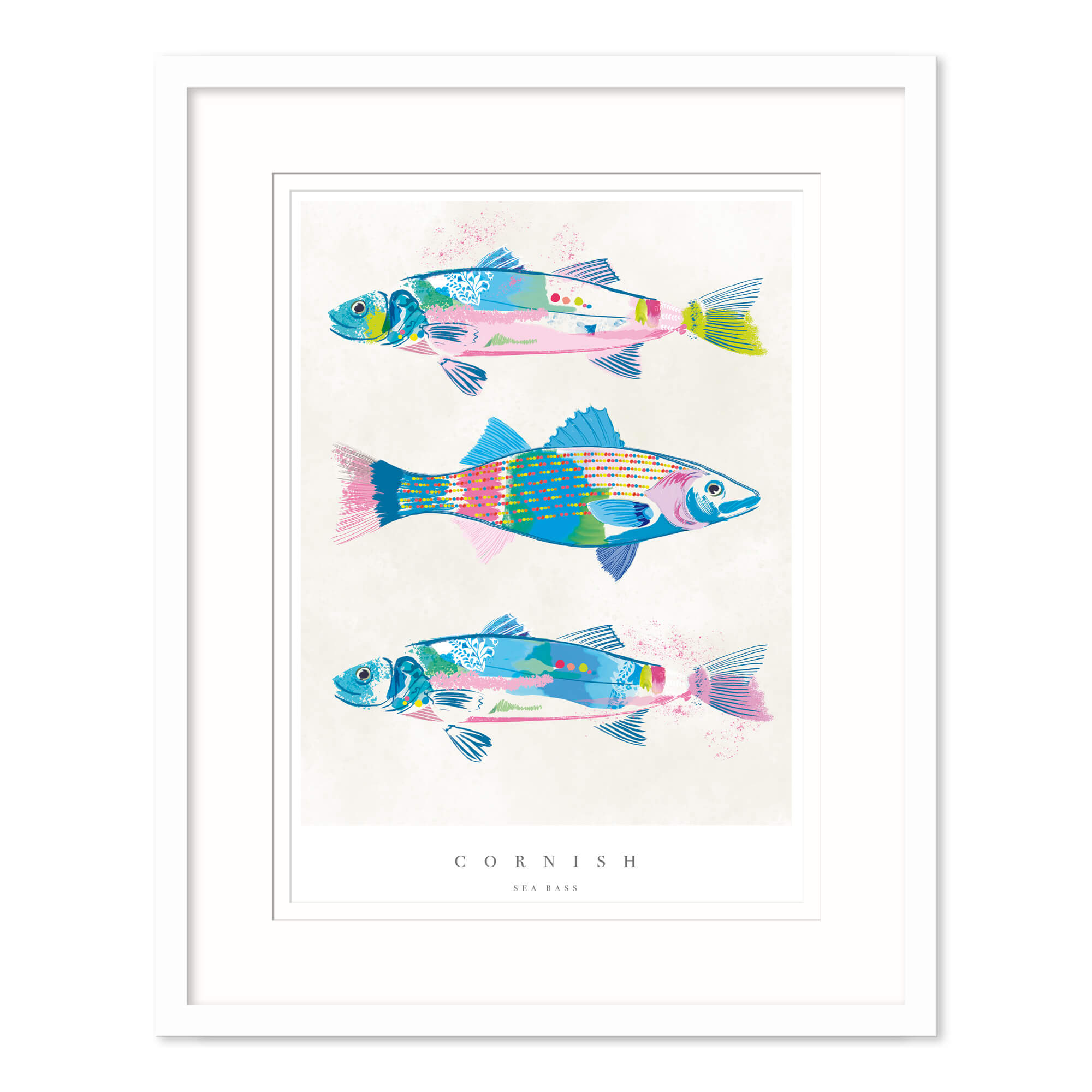 Cornish Sea Bass Medium Framed Print