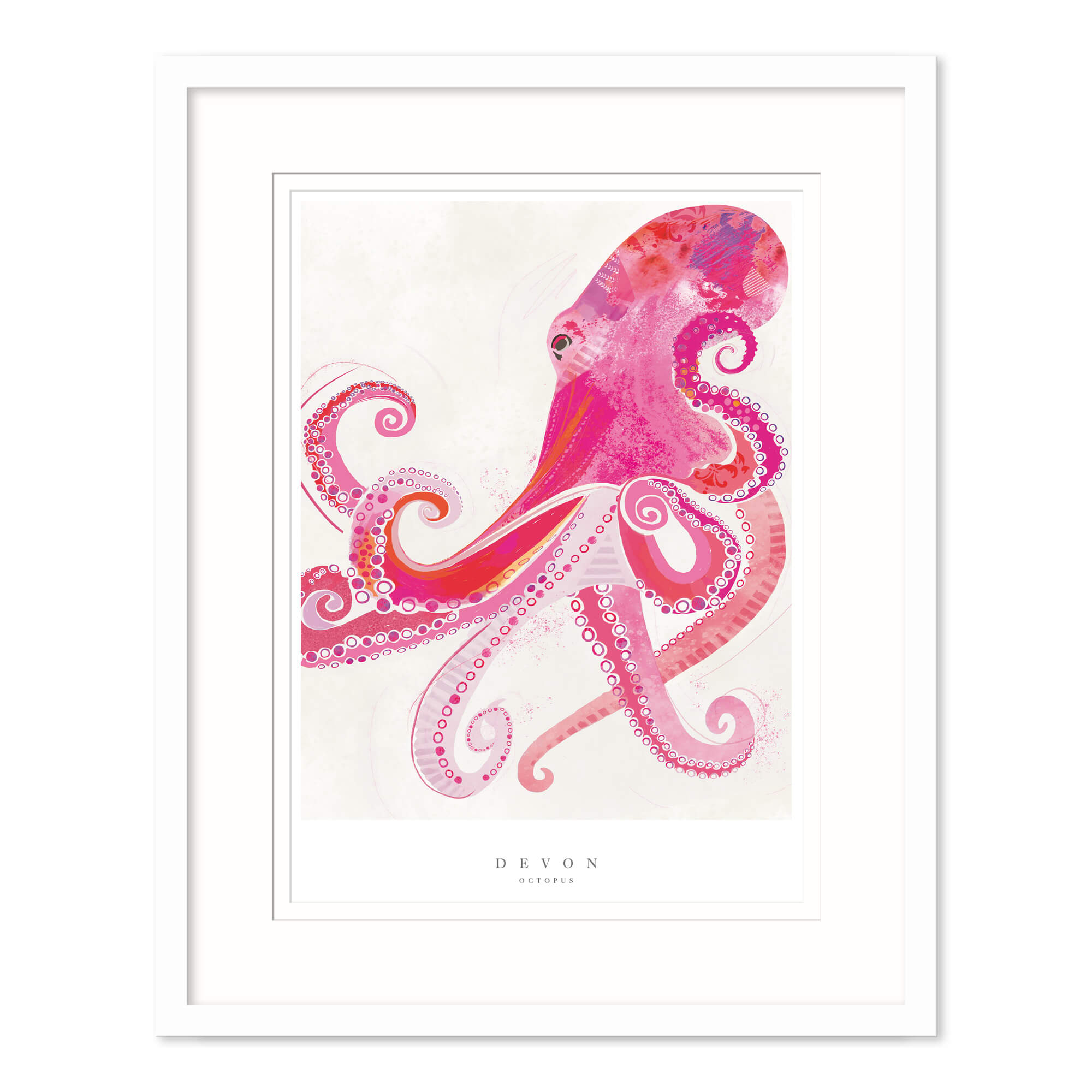 Devon Octopus Framed Print