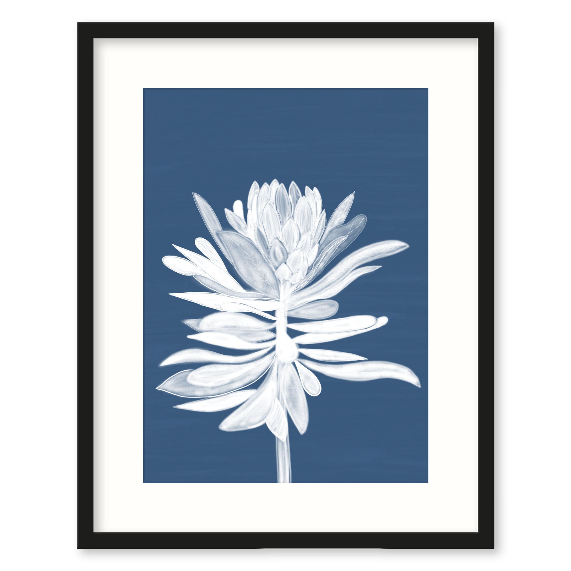 Protea Small Framed Print