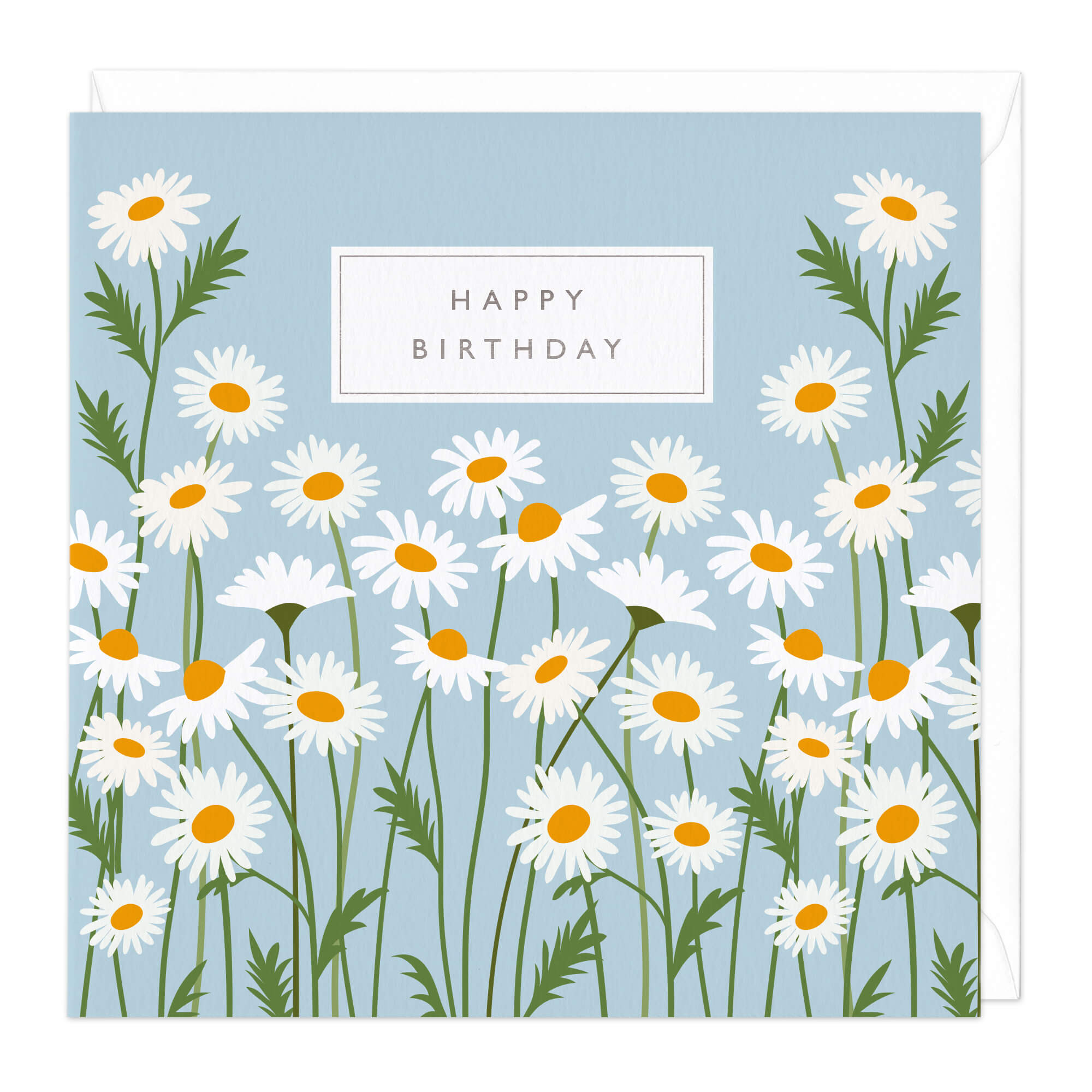 Wild Daisies Birthday Card
