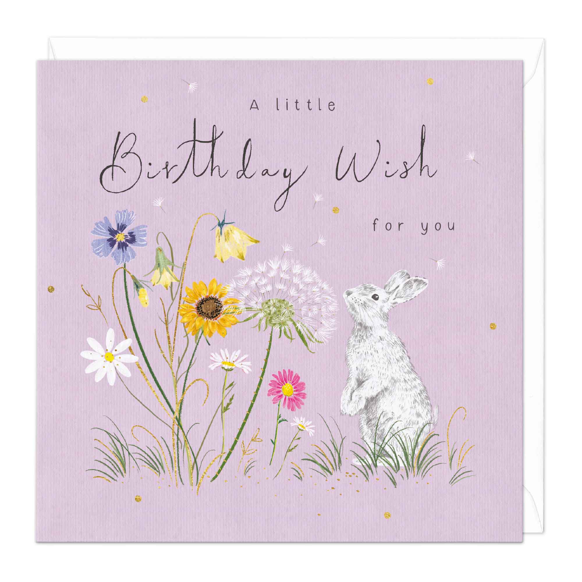 A Little Birthday Wish For You Card