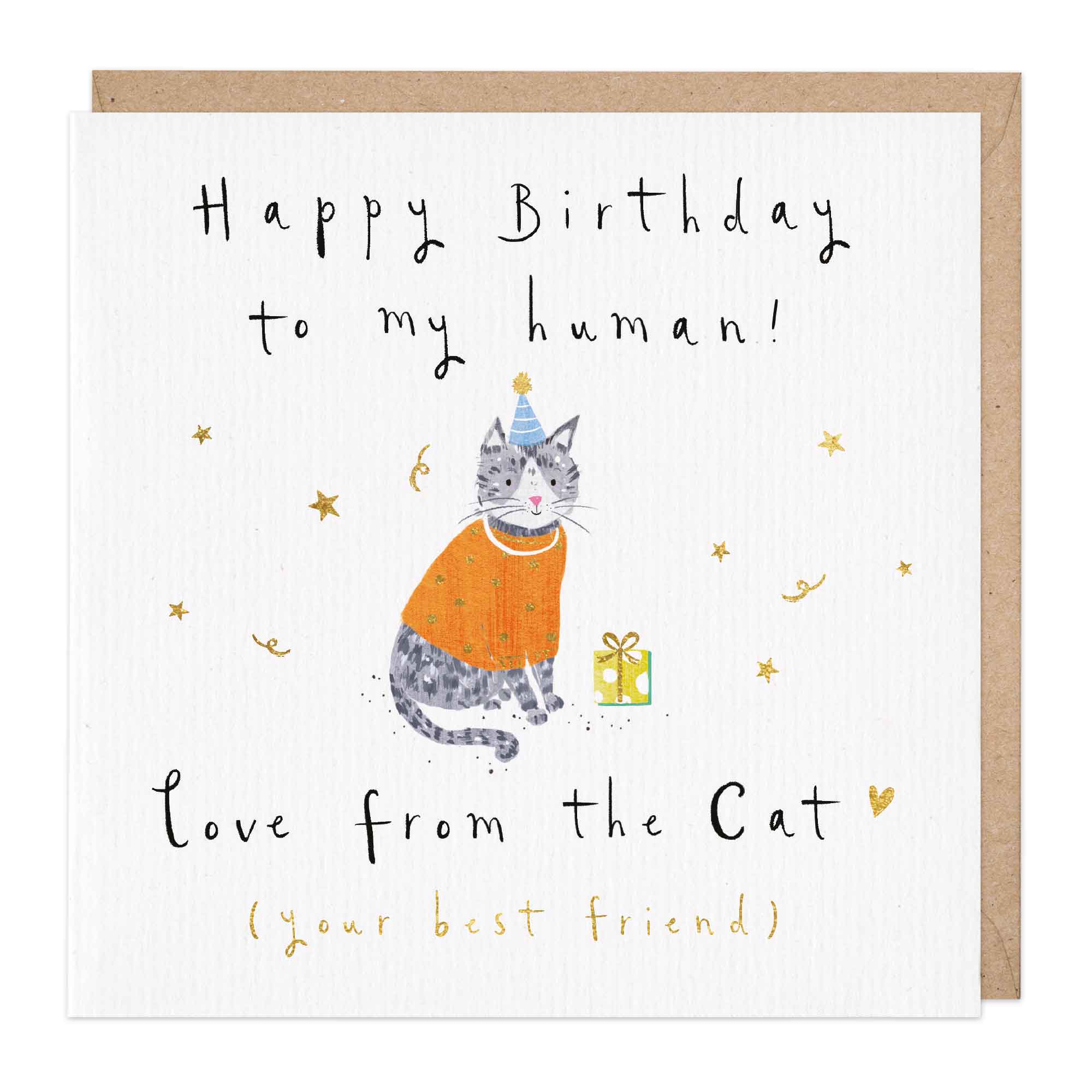 From The Cat Birthday Card