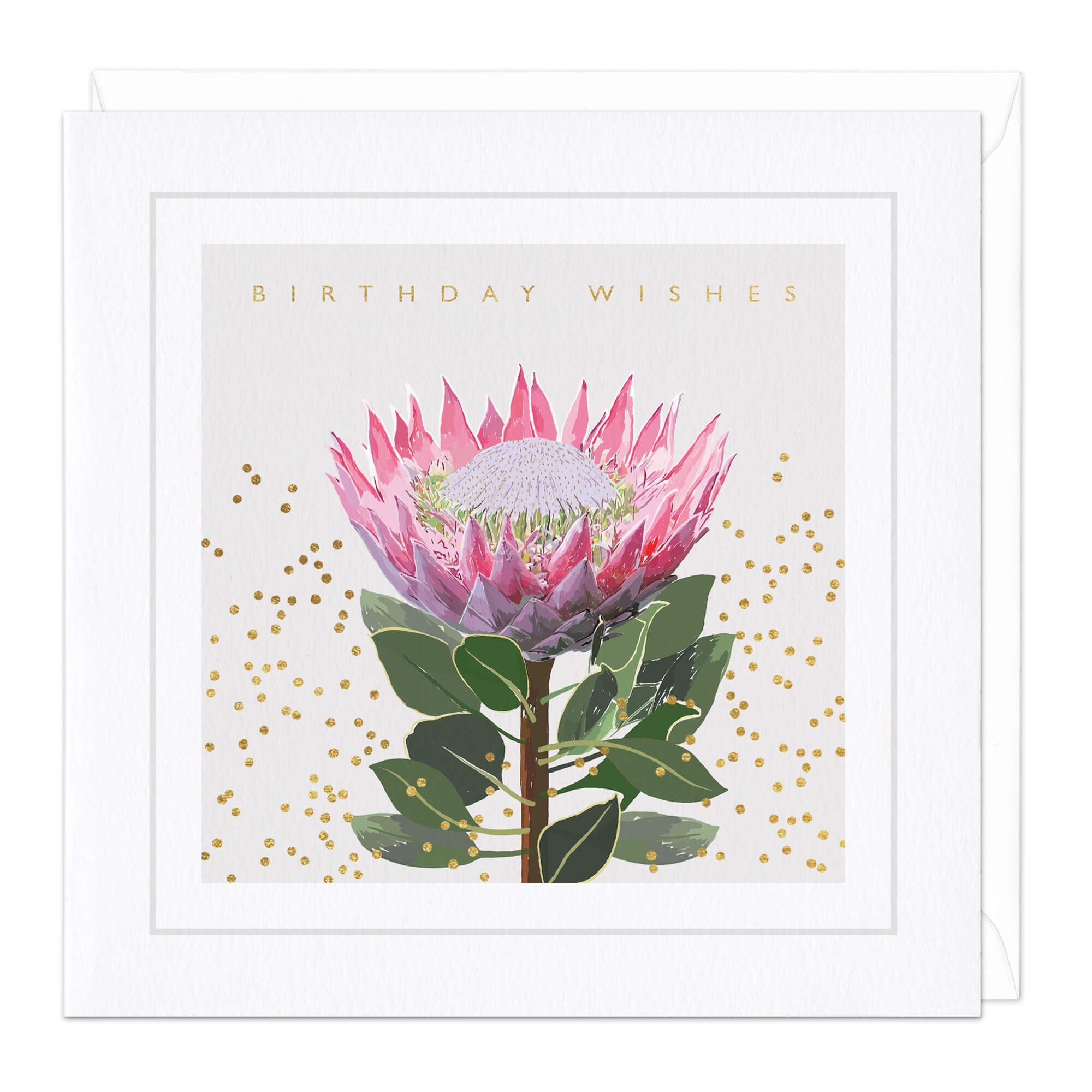 Protea Flower Birthday Wishes Card